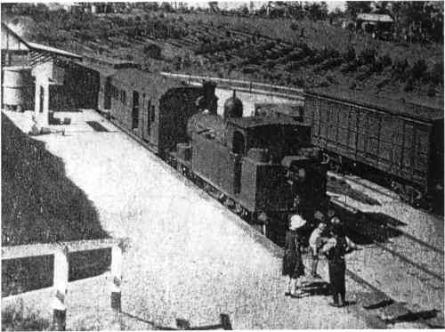 Kurrajong Station, 1920s.